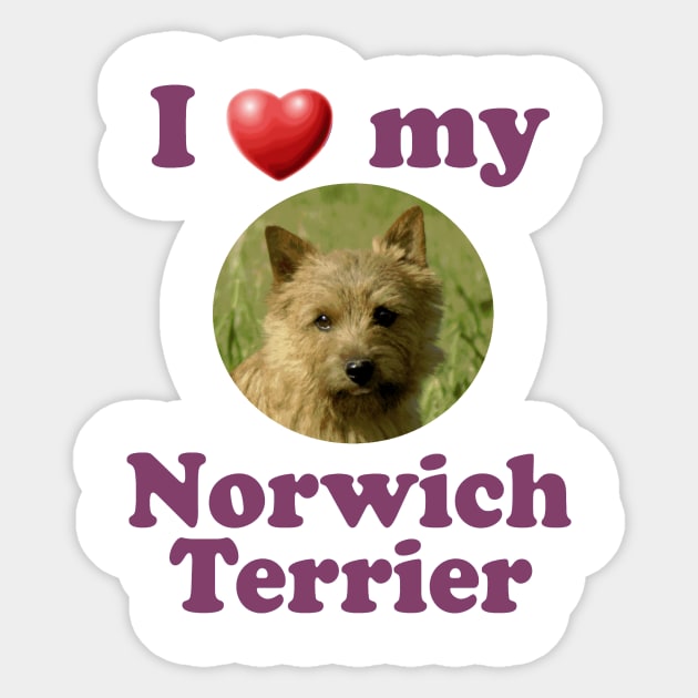 I Love My Norwich Terrier Sticker by Naves